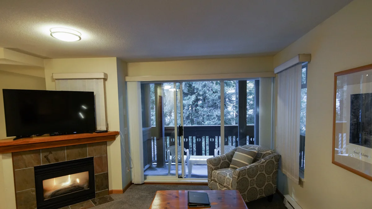 Living area with fireplace