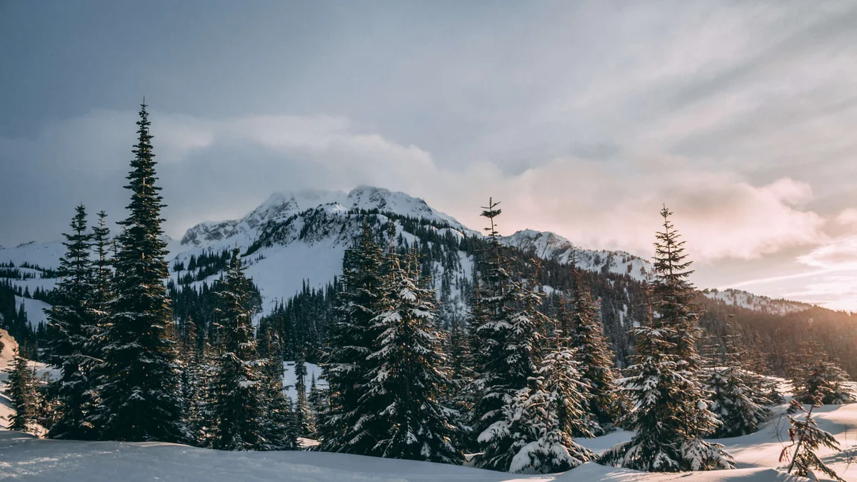 Whistler Accommodations - Two Bedroom Rentals
