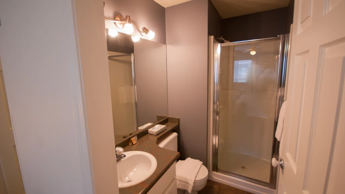 The second washroom has a shower stall