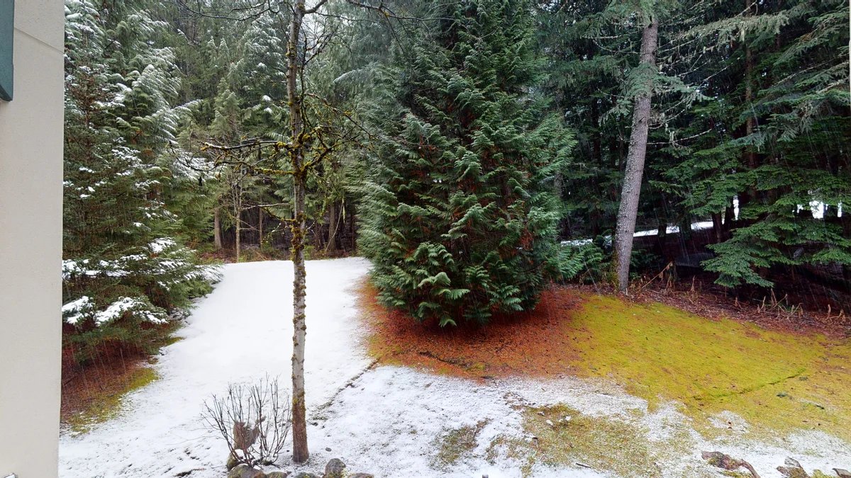 View from deck