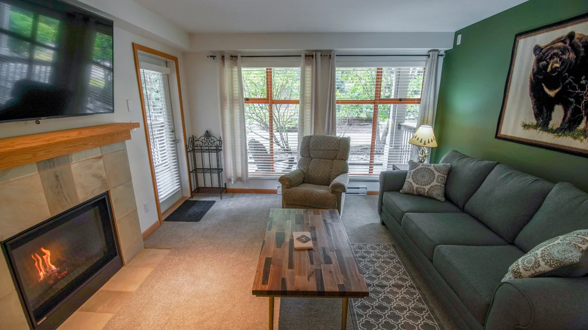 Living area with fireplace