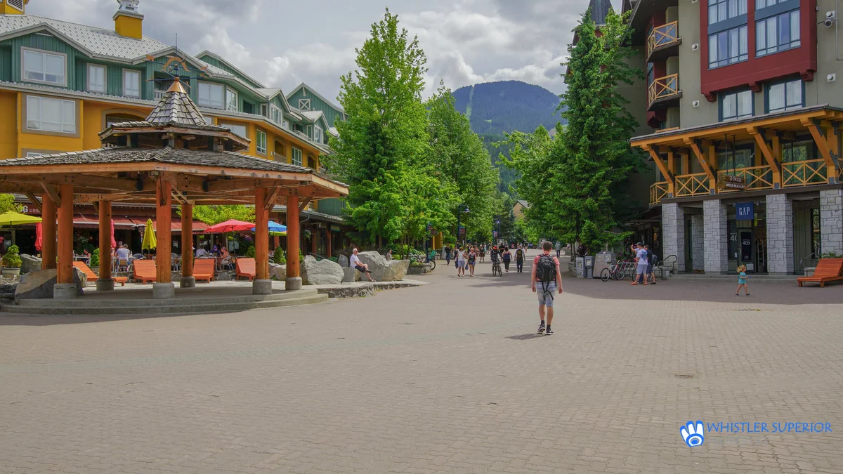 Bear Lodge - Town Plaza #401