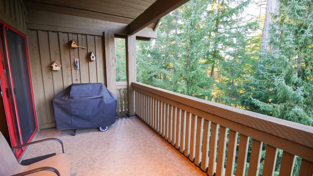 Patio with BBQ