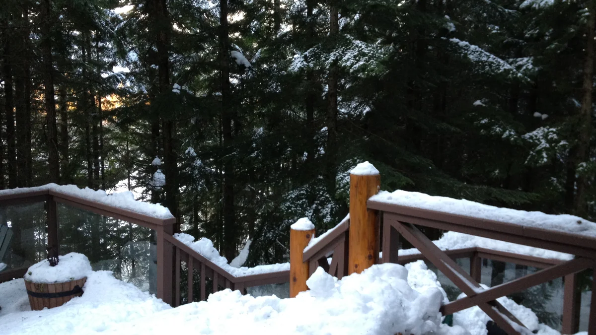 Cedar Hollow #6