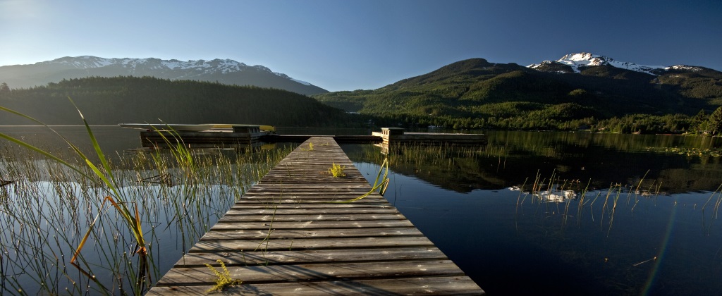 Dock New