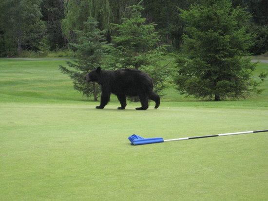 Whistler Golf Club 1