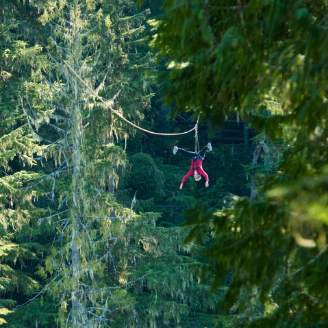 Ziptrek ziplining in summer, Whistler